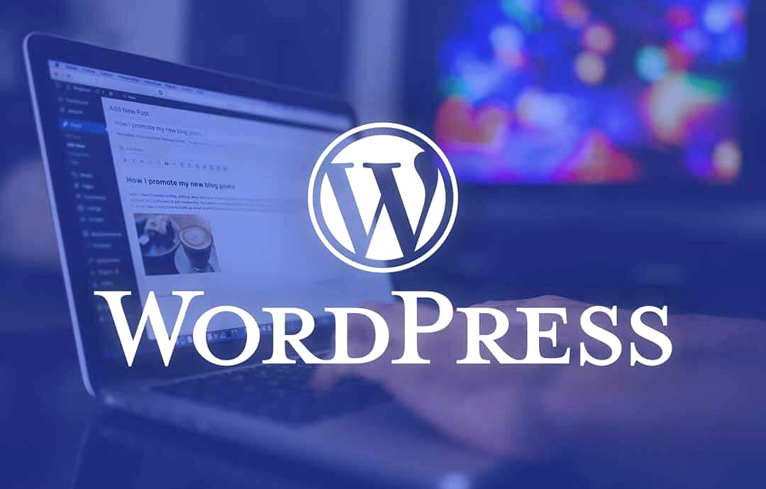 wordpress hizmetleri wordpress hizmetleri