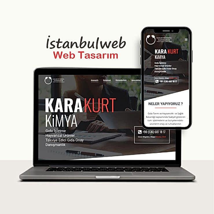 web tasarim karakurt lojistik